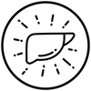 Liver Enzyme Support